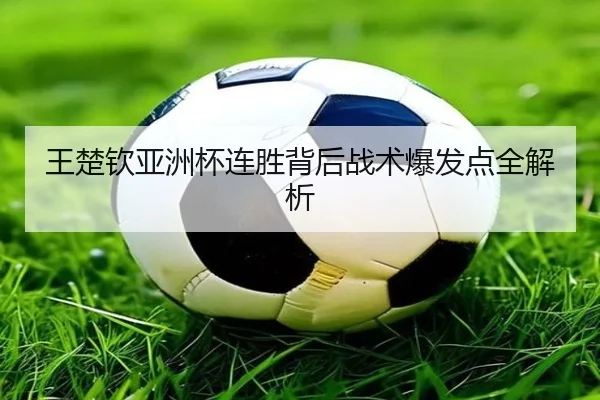 王楚钦亚洲杯连胜背后战术爆发点全解析